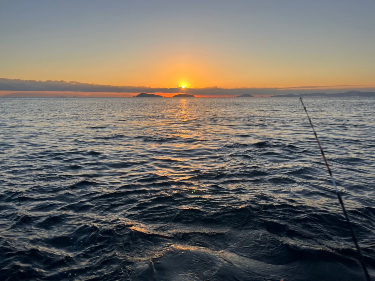 BOZUさんの釣果 2枚目の画像