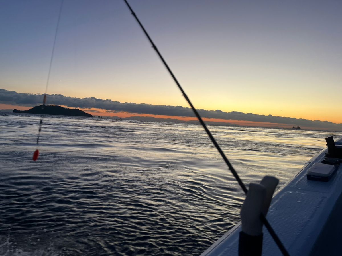 BOZUさんの釣果 3枚目の画像