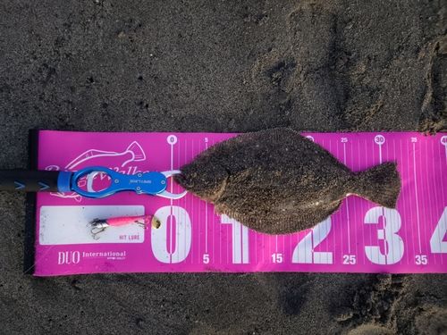 太田川河口（磐田）