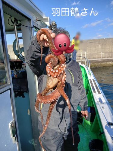 タコの釣果