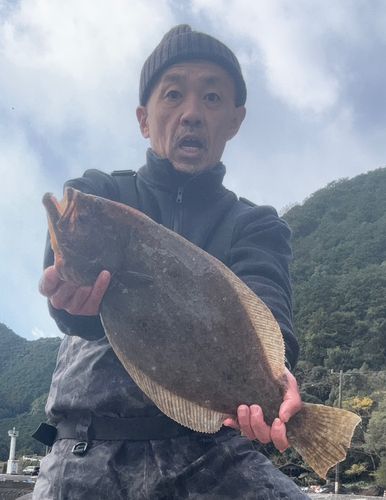 ヒラメの釣果