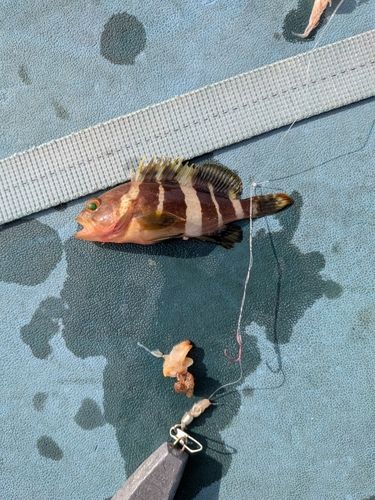 鴨池海づり公園