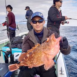 ウッカリカサゴ