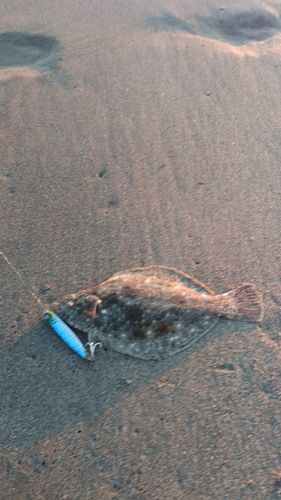 滝浜エメラルドビーチ