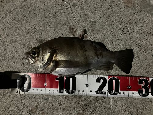 金沢水際線緑地（福浦岸壁）