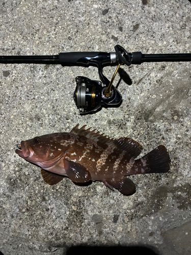 常滑りんくう釣り護岸