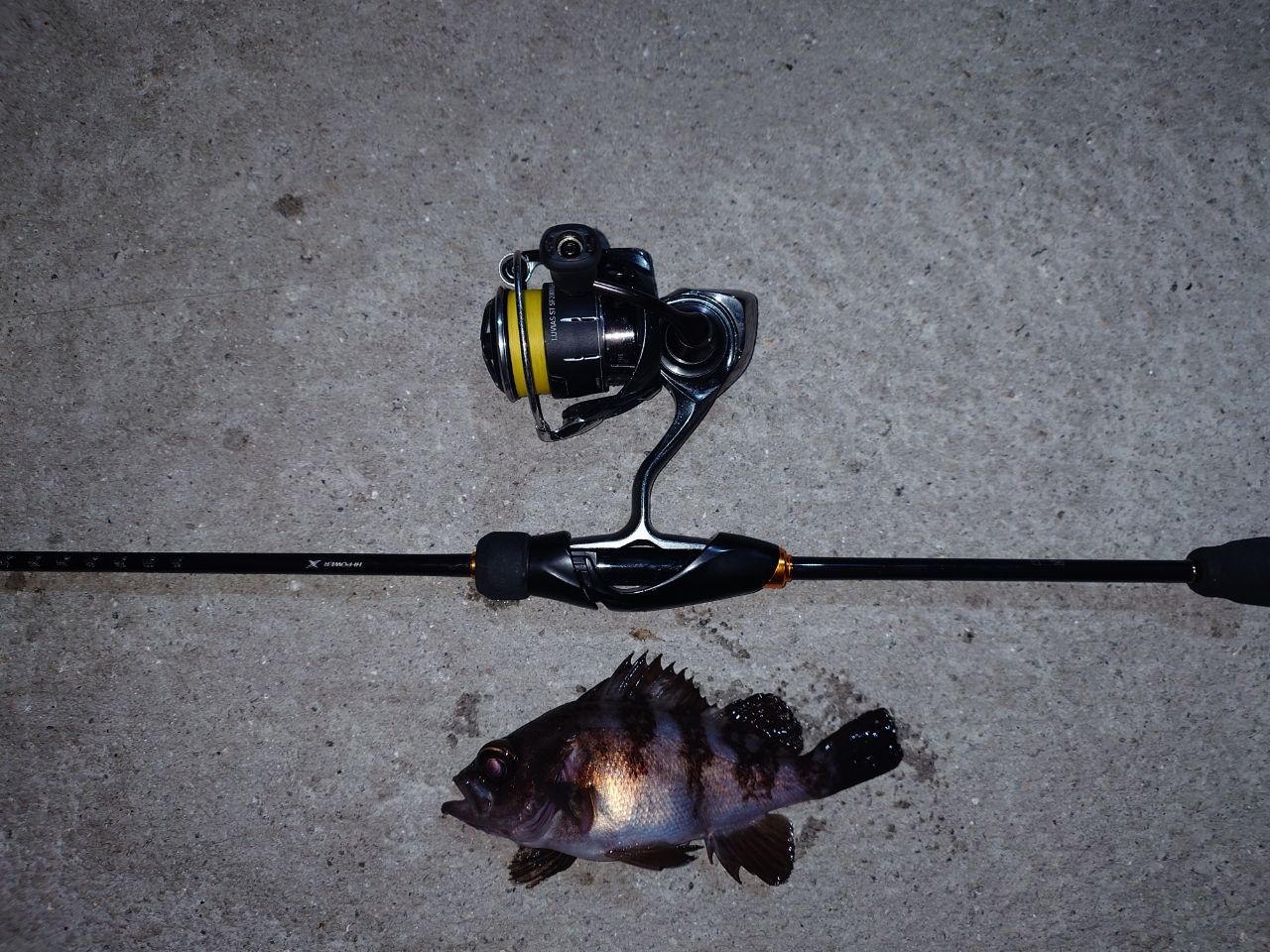 SHIMANO 23ソアレ BB アジング S610L-Sの最安値・インプレ・釣果