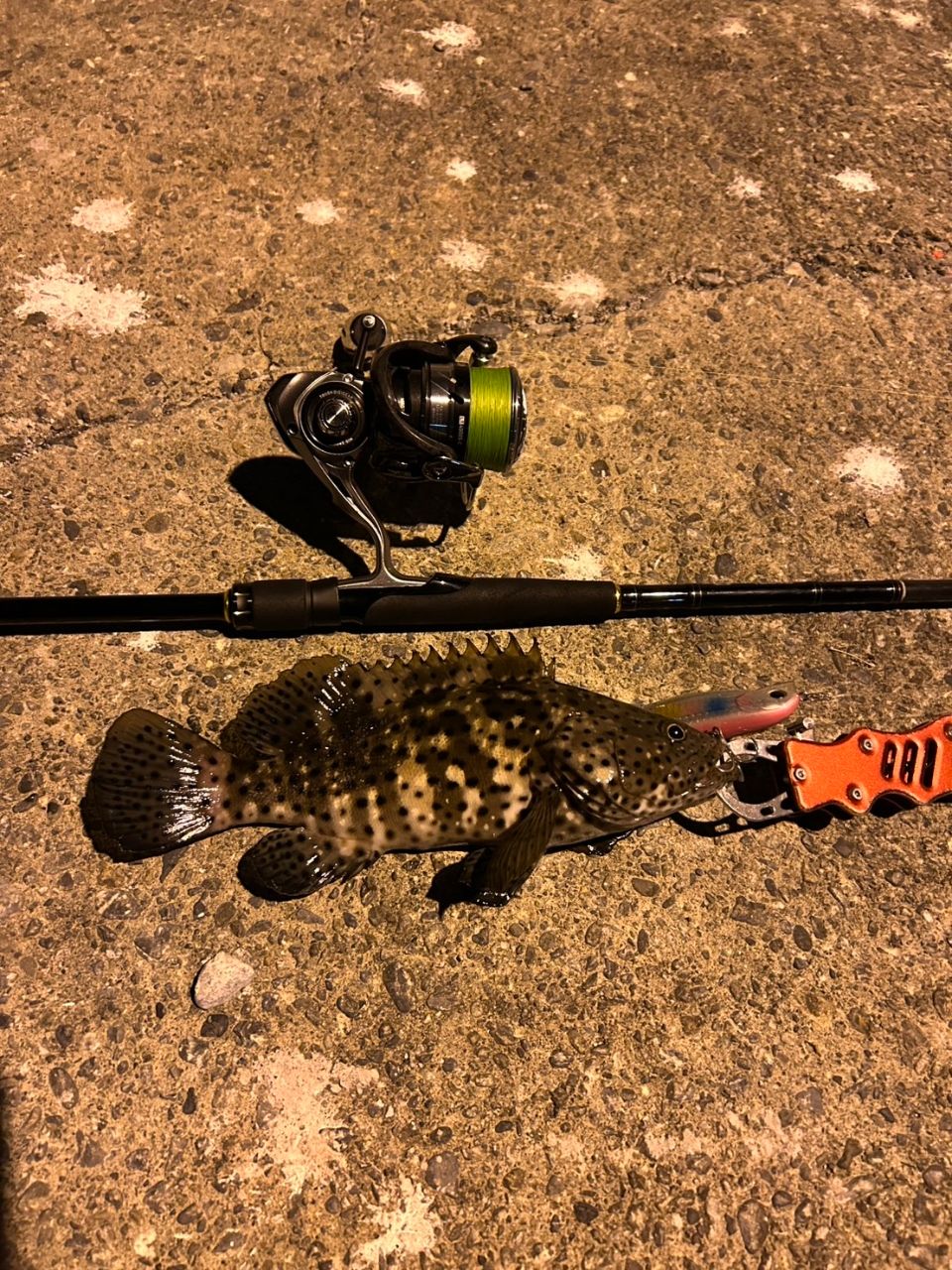 DAIWA 19ラテオ R 93MLの最安値・インプレ・釣果 | 本音の口コミが