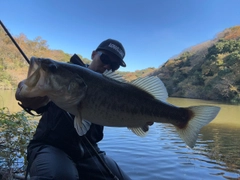 ブラックバスの釣果