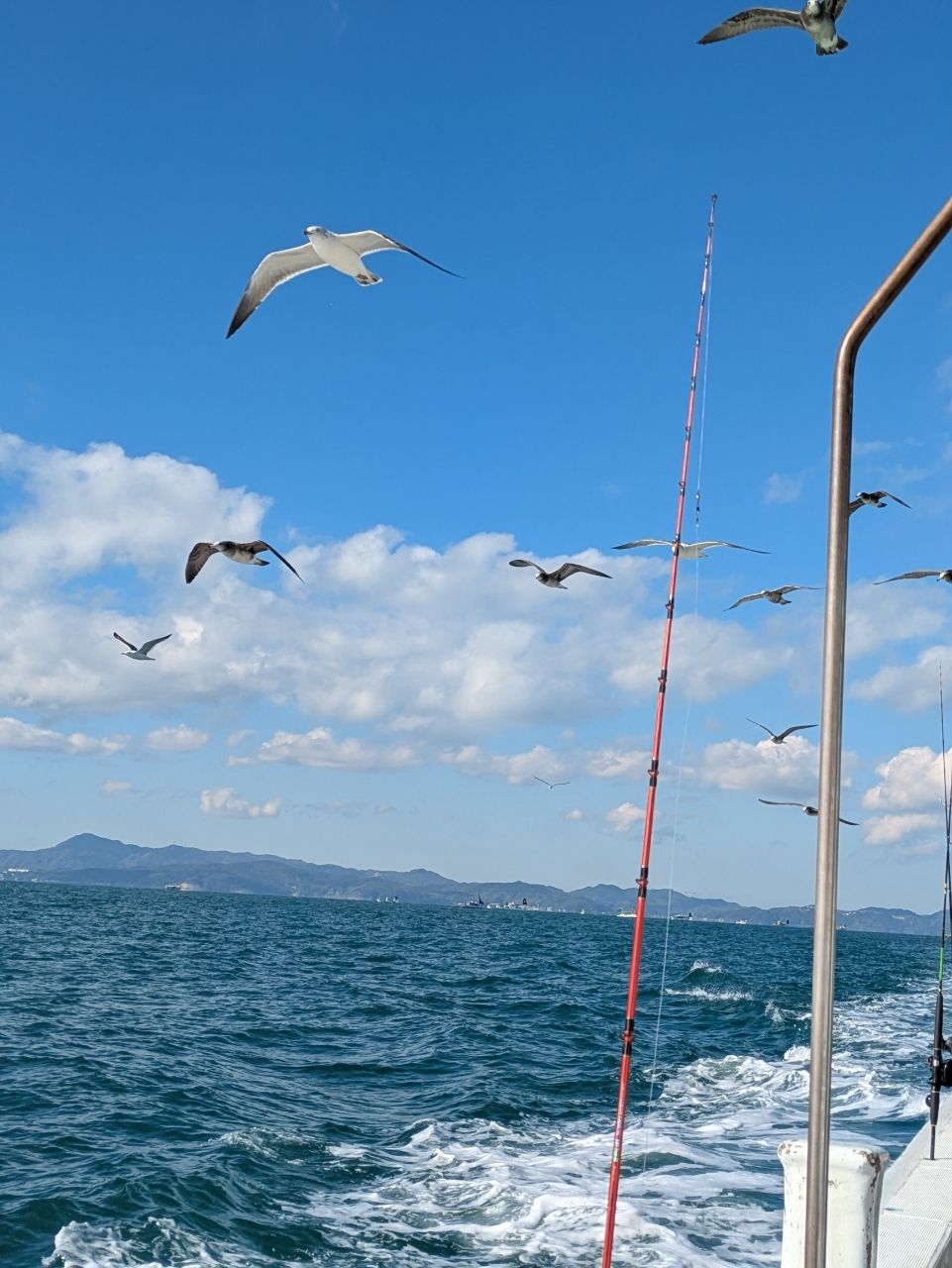 そろそろ釣れるさんの釣果 2枚目の画像