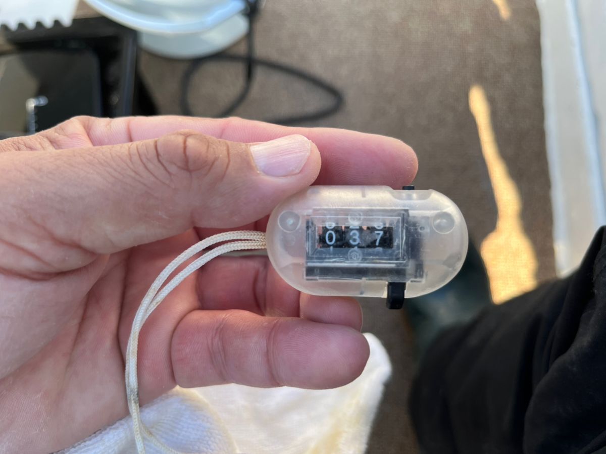 BOZUさんの釣果 2枚目の画像