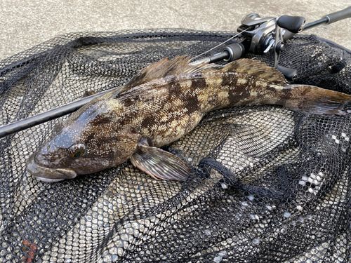 三陸海岸（岩手）