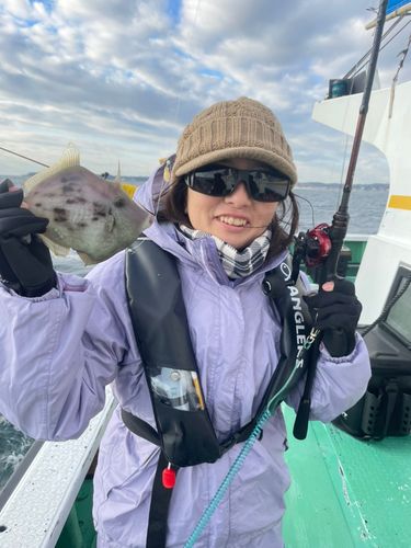 カワハギの釣果