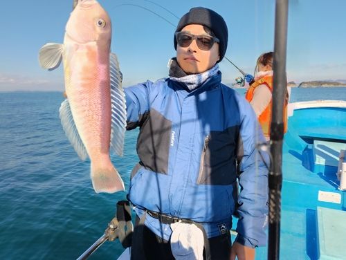 アマダイの釣果