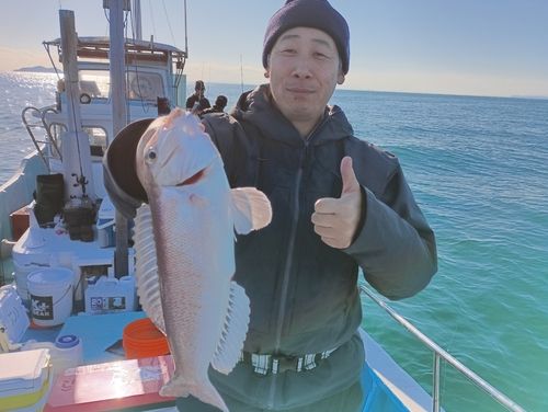 アマダイの釣果