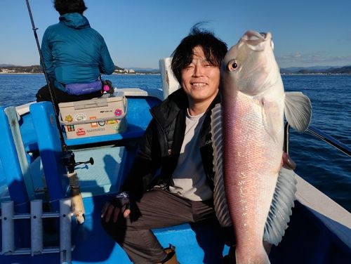 アマダイの釣果