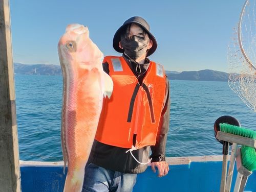 アマダイの釣果