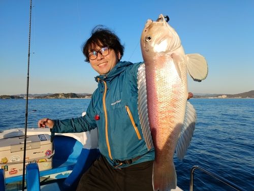 アマダイの釣果