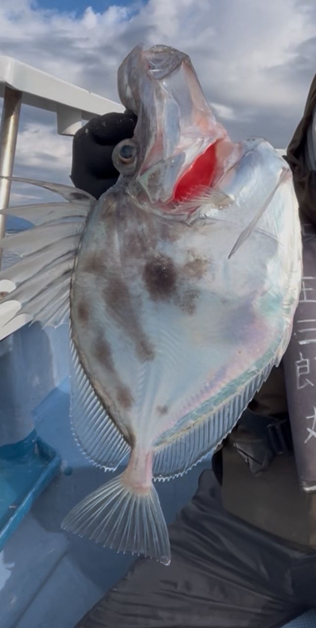 はまぶたさんの釣果 1枚目の画像