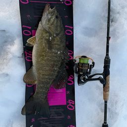 スモールマウスバス