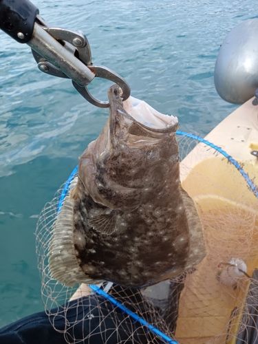 新舞子海岸（富津）