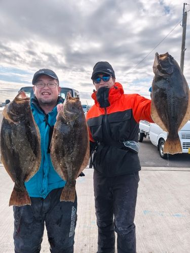 ヒラメの釣果