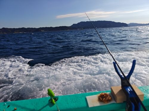 カワハギの釣果