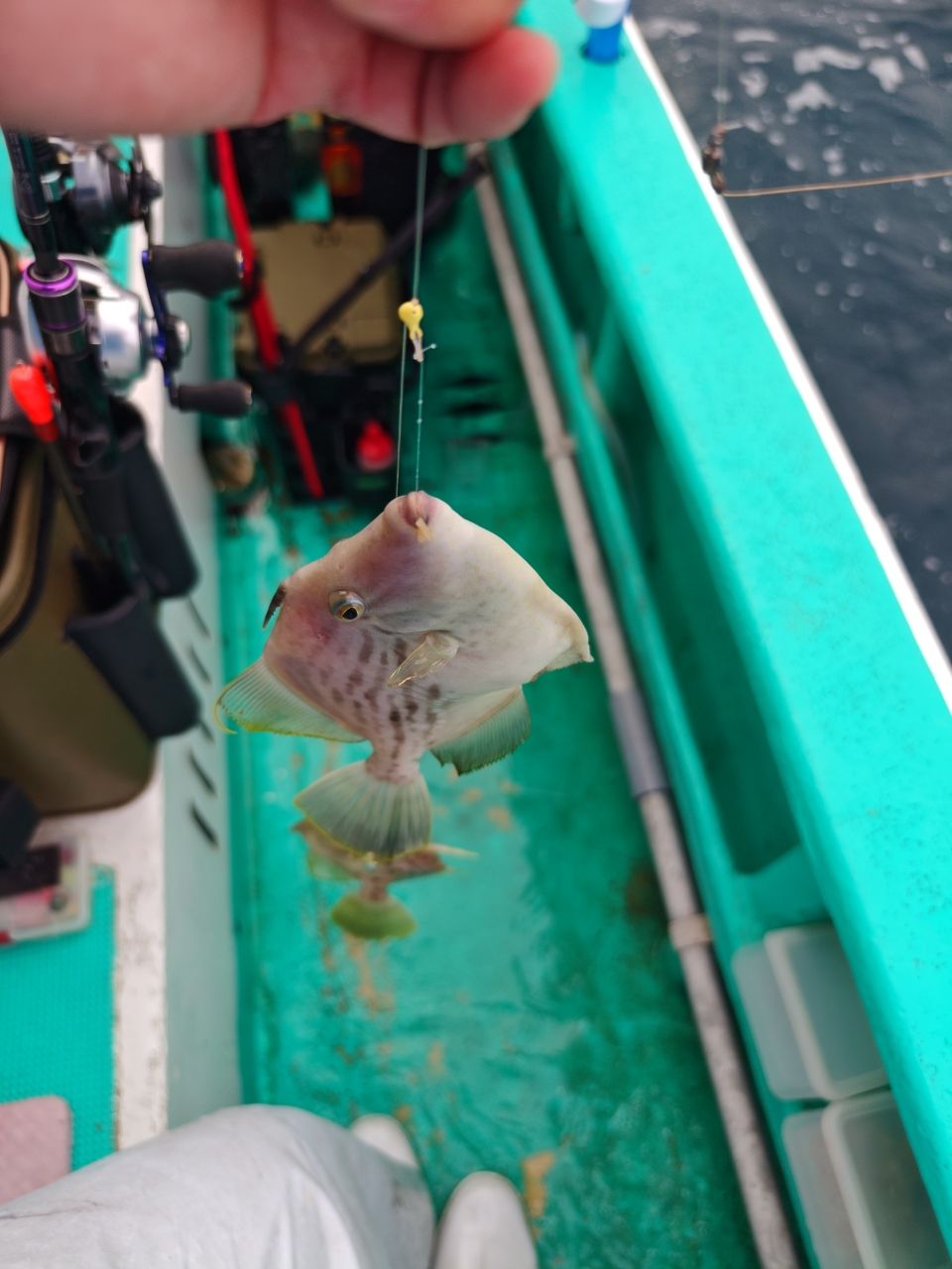 貴斗(タカト)さんの釣果 2枚目の画像