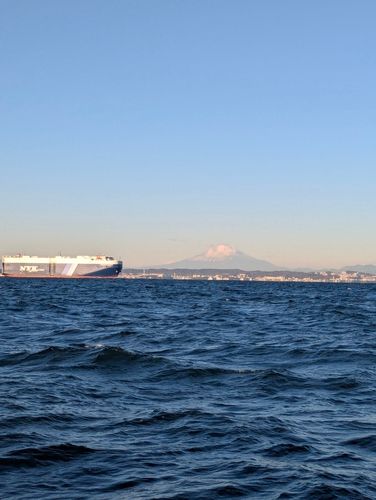 カワハギの釣果