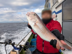 アマダイの釣果