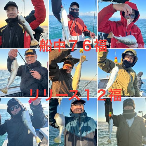 ショウサイフグの釣果