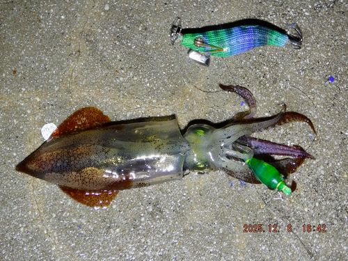 小名浜港市場前