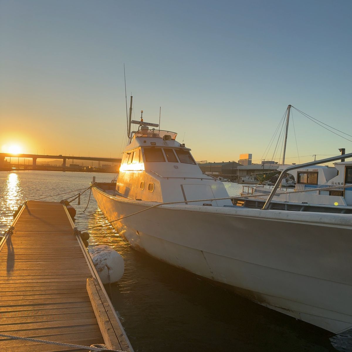 遊釣CH まっすん♪さんの釣果 2枚目の画像