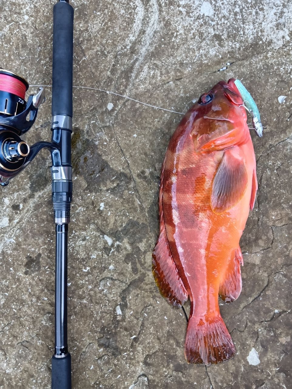 MajorCraft クロスライド 5G XR5-1002Mの最安値・インプレ・釣果