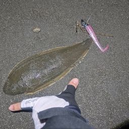 クロウシノシタ