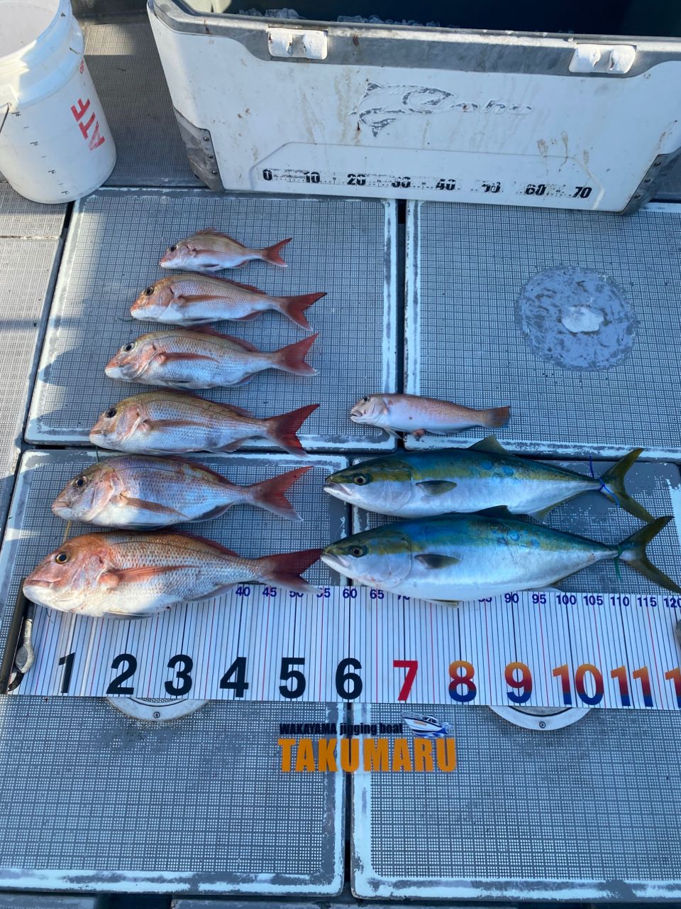 拓丸さんの釣果 1枚目の画像