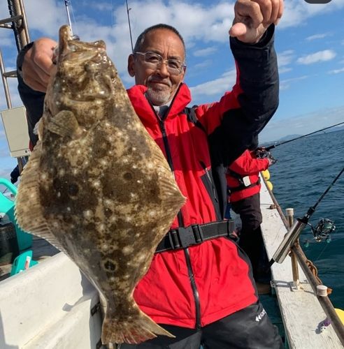 ヒラメの釣果