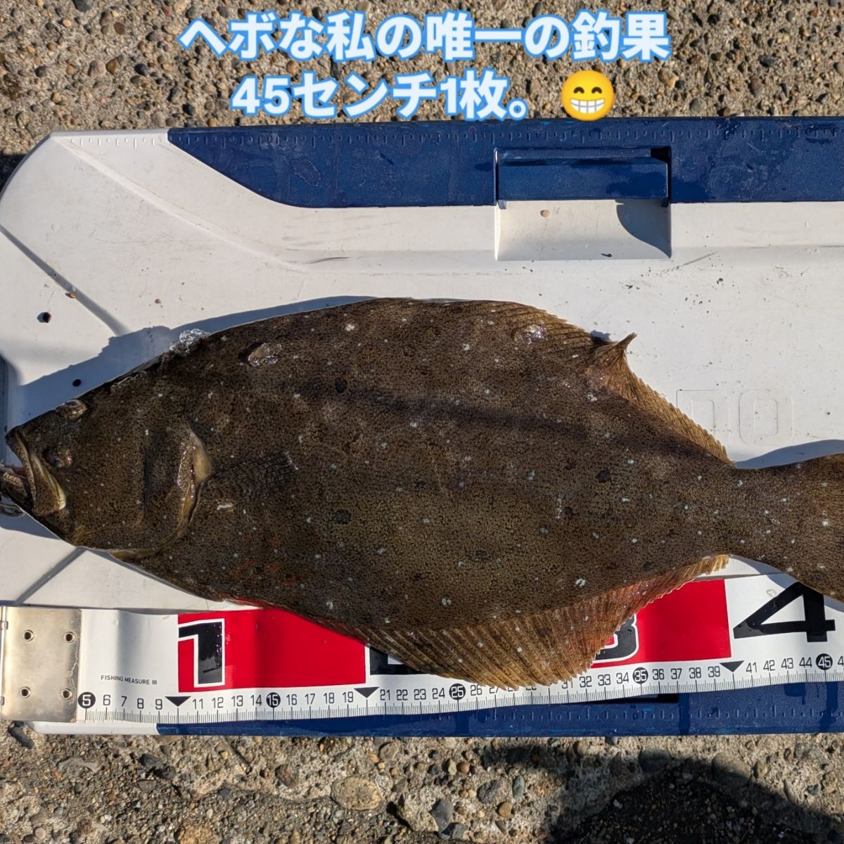 北街角さんの釣果 3枚目の画像