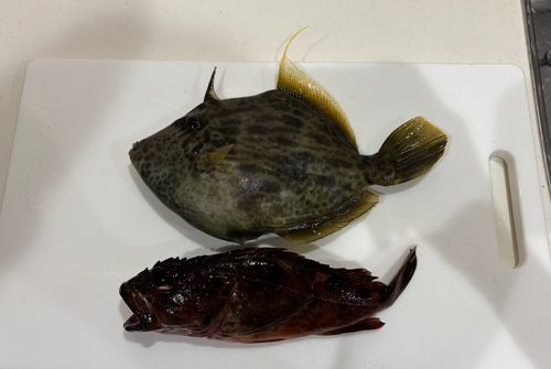 狩留家海浜公園