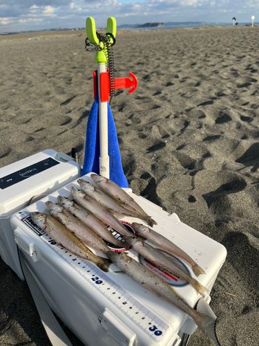 茅ヶ崎ヘッドランド