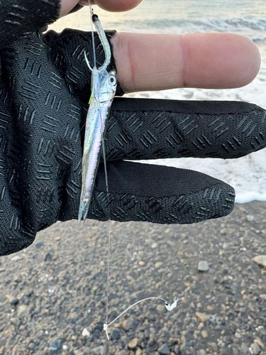 大浜海岸（静岡）