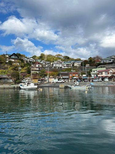 カワハギの釣果