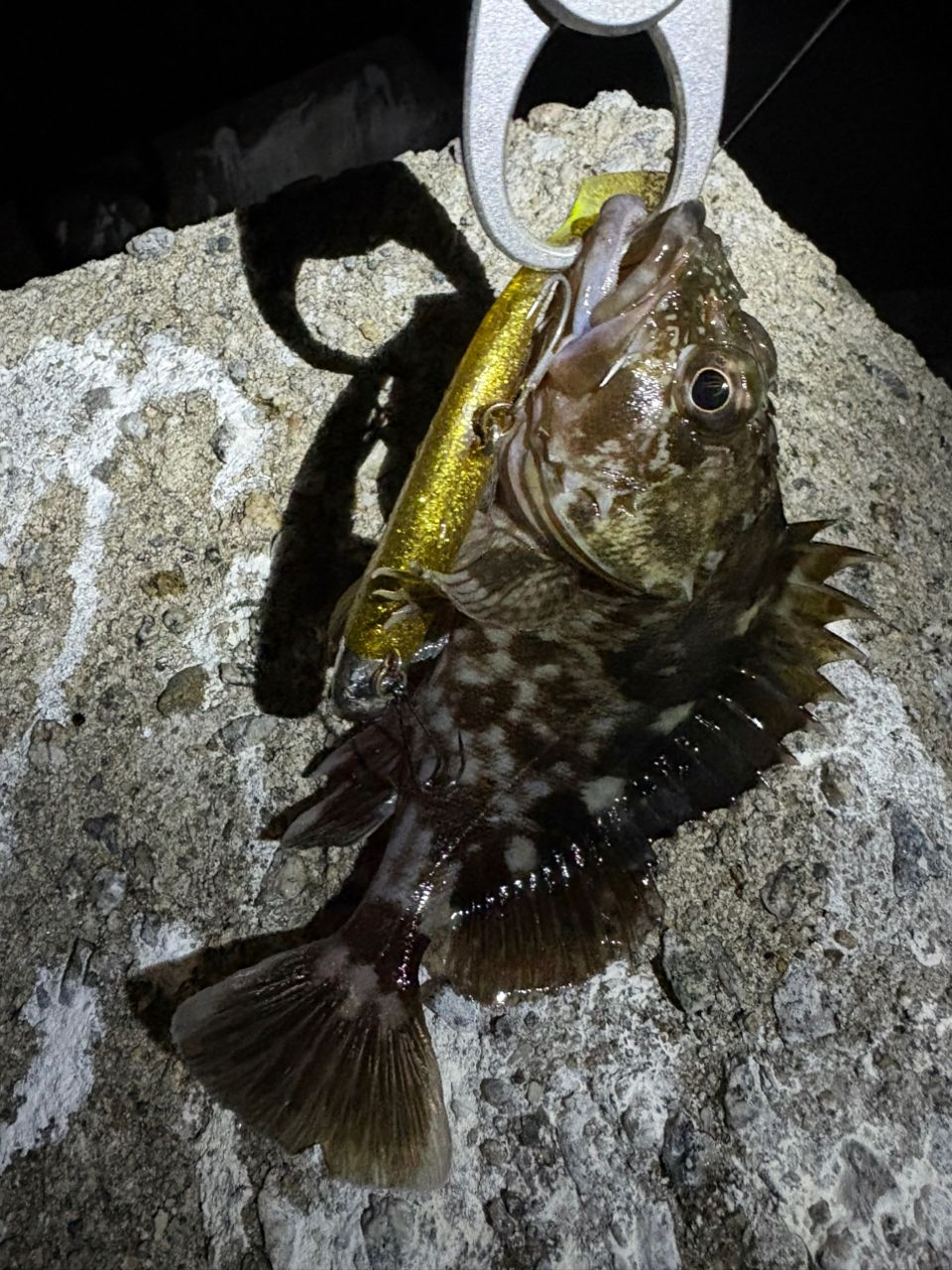 DAIWA 21ラブラックス AGS 96MLの最安値・インプレ・釣果 | 本音の