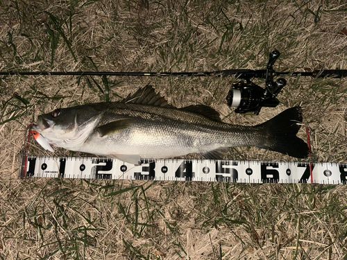 大浜釣り公園（金沢港ふれあい広場）