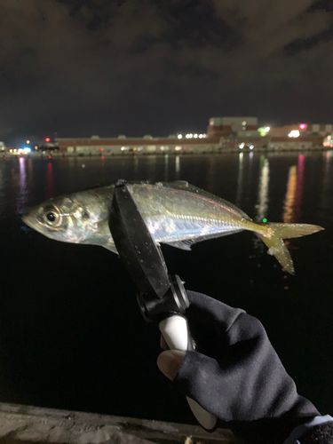 小名浜港市場前