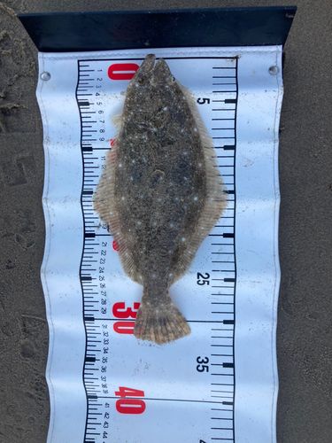 新舞子海岸（いわき）