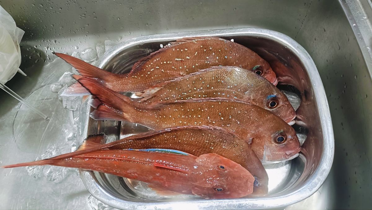 Akmbomさんの釣果 2枚目の画像