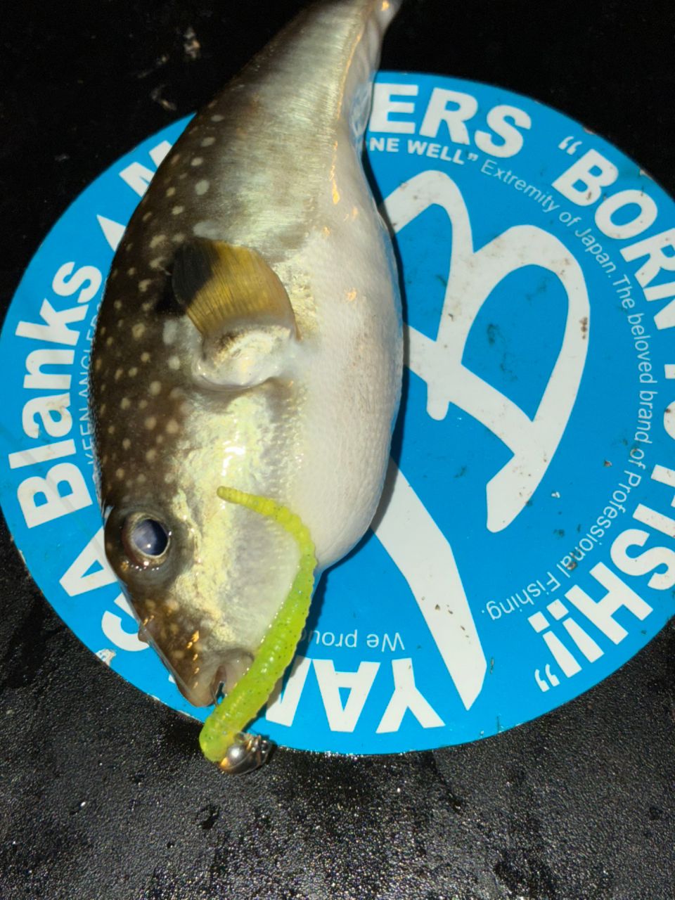 TENRYU ルナキア LK582S-LSの最安値・インプレ・釣果 | 本音の口コミが