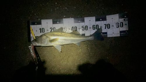 那珂川（茨城〜栃木）