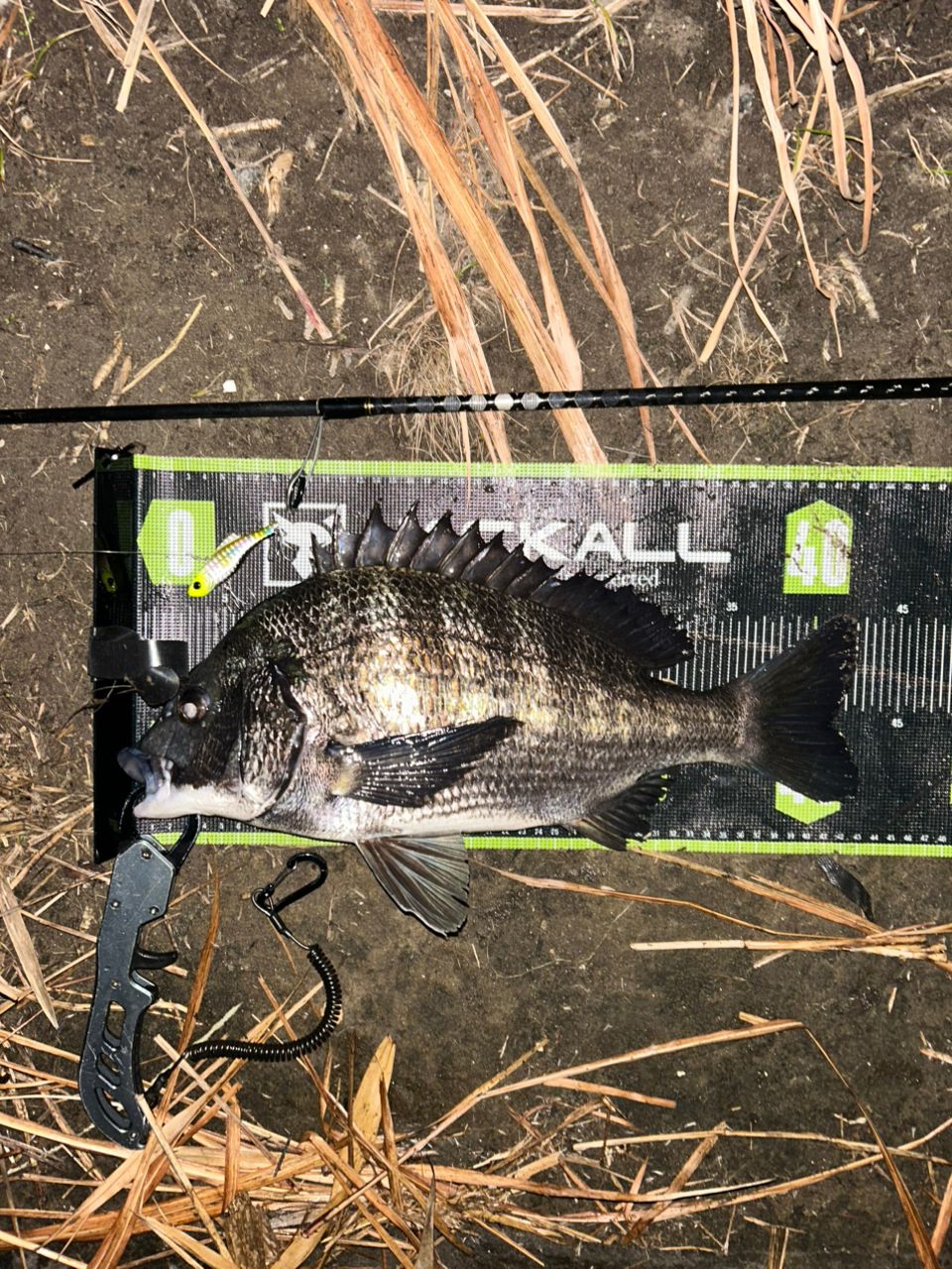 DAIWA 21シーバスハンター X 93ML・Rの最安値・インプレ・釣果 | 本音